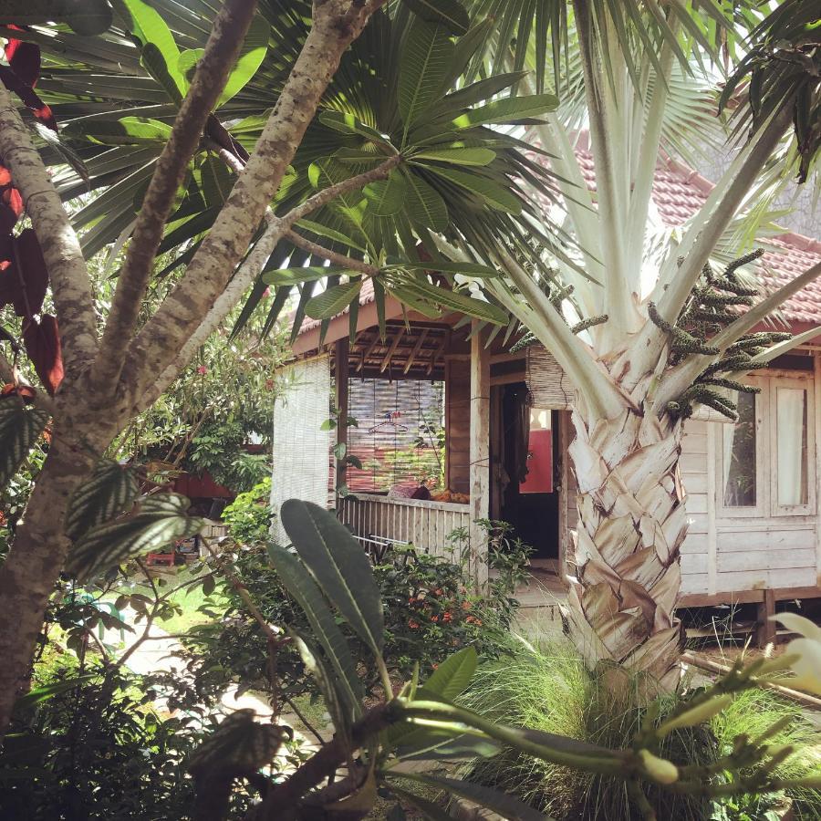 Apartmán Harry'S Ocean House Pacitan Exteriér fotografie